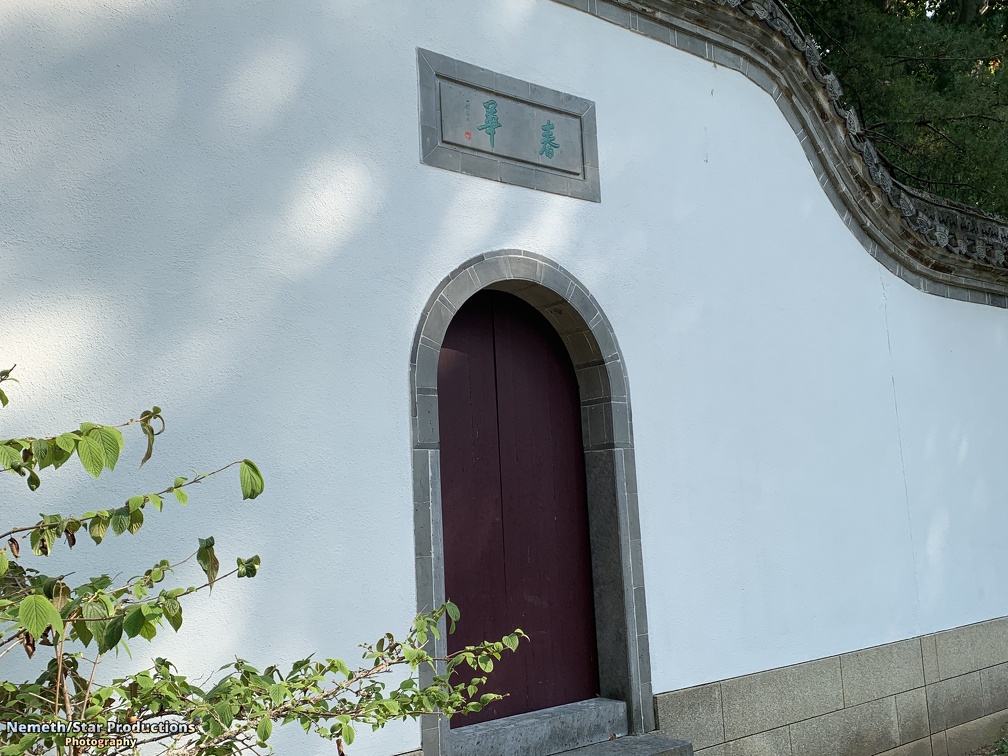 IMG 7904