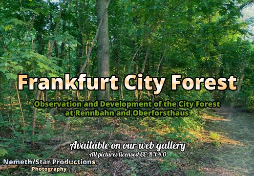 Frankfurt Oberforsthaus and Rennbahn City Forest