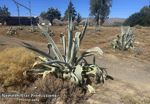 OMP-Season2025-EP01 Welcome-Matjiesfontein 13