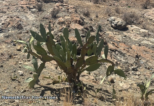 OMP-Season2025-EP01 Welcome-Matjiesfontein 14