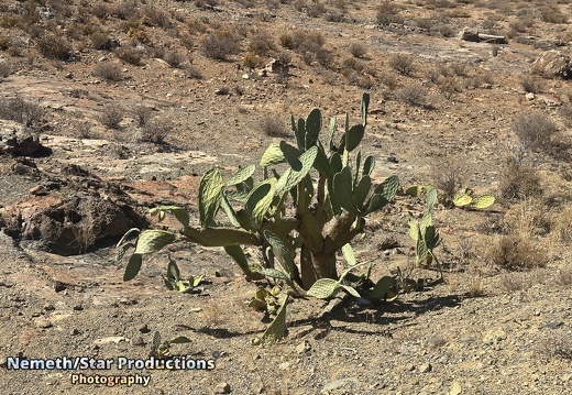 OMP-Season2025-EP01 Welcome-Matjiesfontein 15
