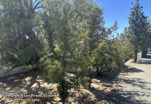 OMP-Season2025-EP04 MJT-Train 44