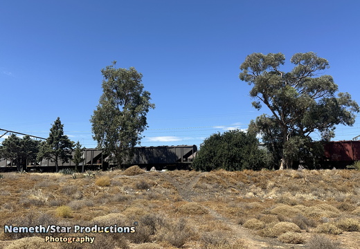 OMP-Season2025-EP04 MJT-Train 63