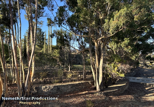 OMP-Season2025-EP05 MJT-DouglasGardens 03