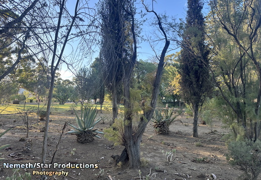 OMP-Season2025-EP05 MJT-DouglasGardens 15