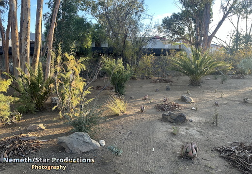OMP-Season2025-EP05 MJT-DouglasGardens 18