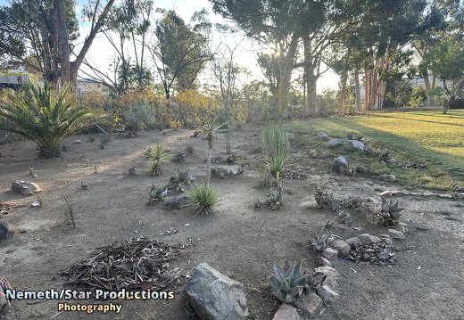 OMP-Season2025-EP05 MJT-DouglasGardens 19