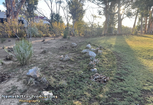 OMP-Season2025-EP05 MJT-DouglasGardens 20