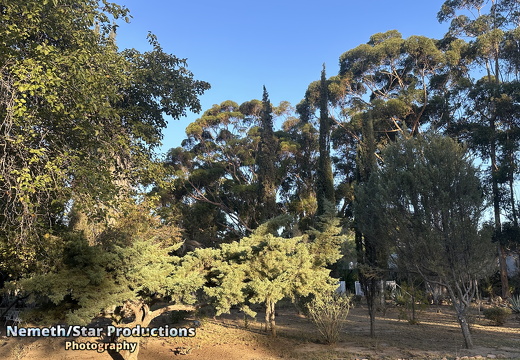 OMP-Season2025-EP05 MJT-DouglasGardens 21