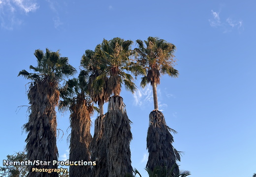 OMP-Season2025-EP05 MJT-DouglasGardens 28