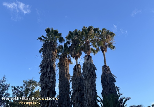 OMP-Season2025-EP05 MJT-DouglasGardens 29